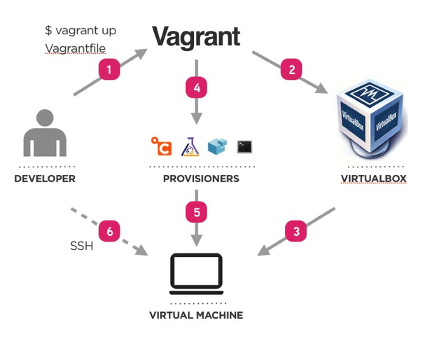 Vagrant