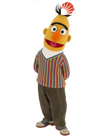 Bert in Solr hat