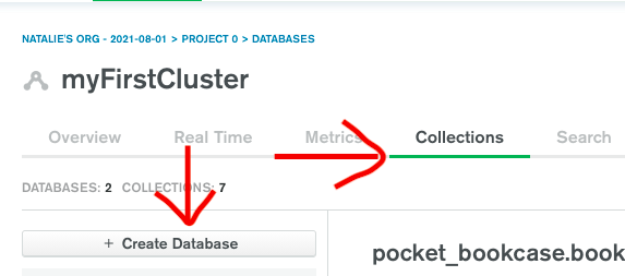 Image showing the collections tab and create database button