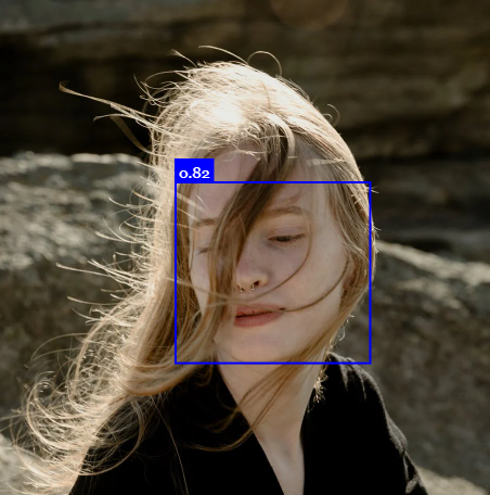 Face Detection