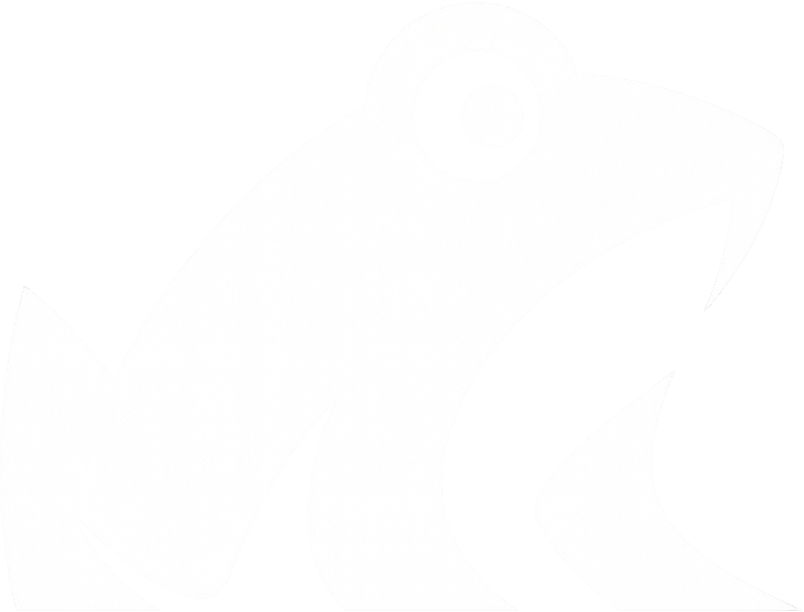 Rybbit