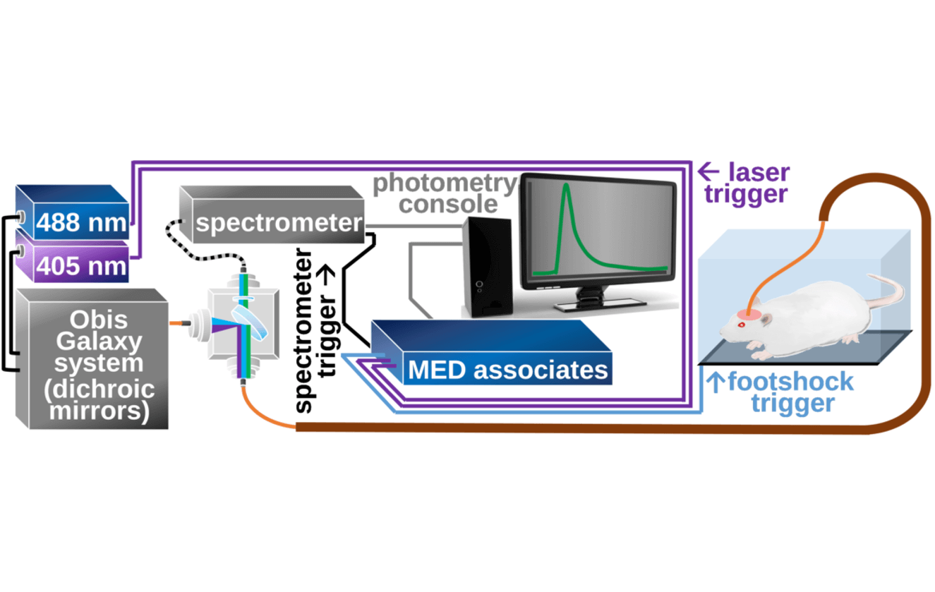 Animal Behavior and Hardware Synchronization project preview