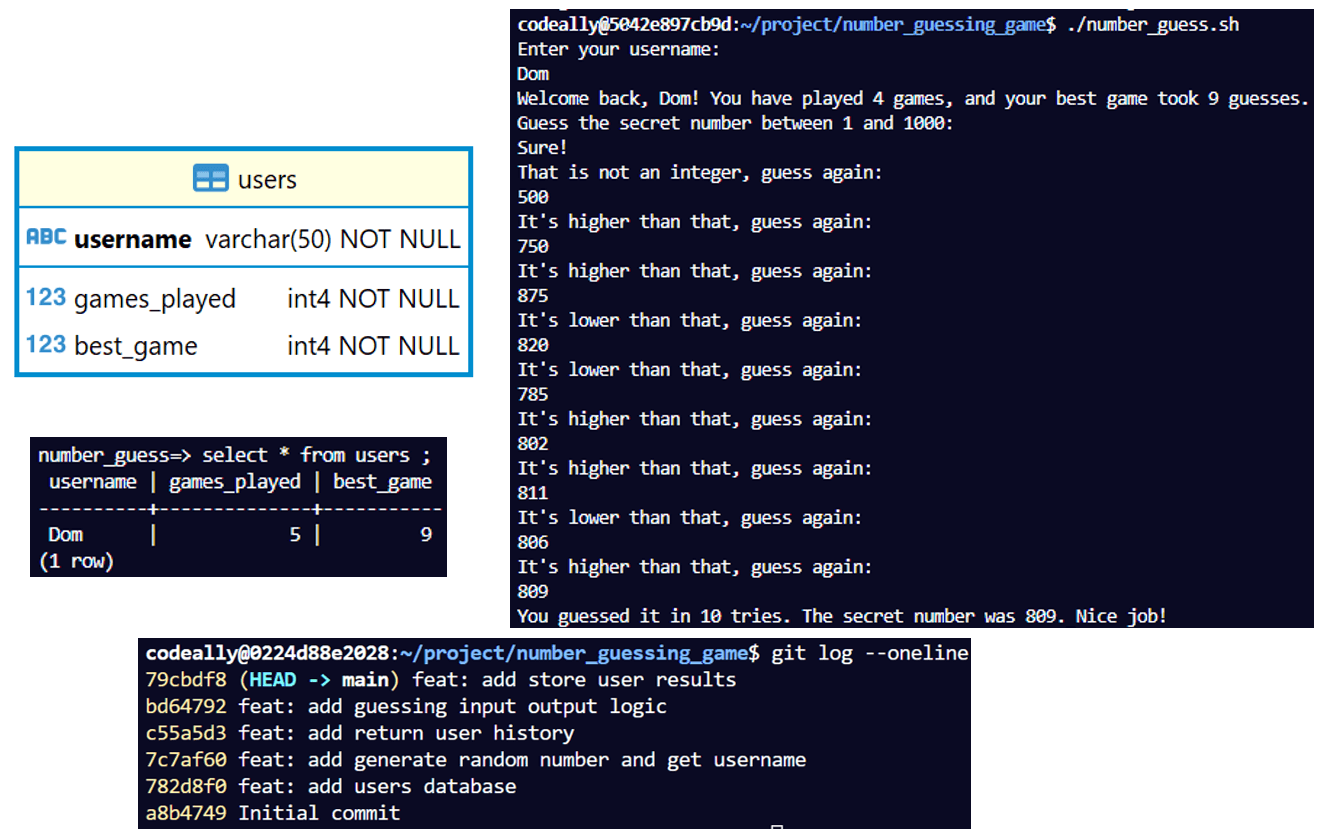 Number Guessing Game project preview