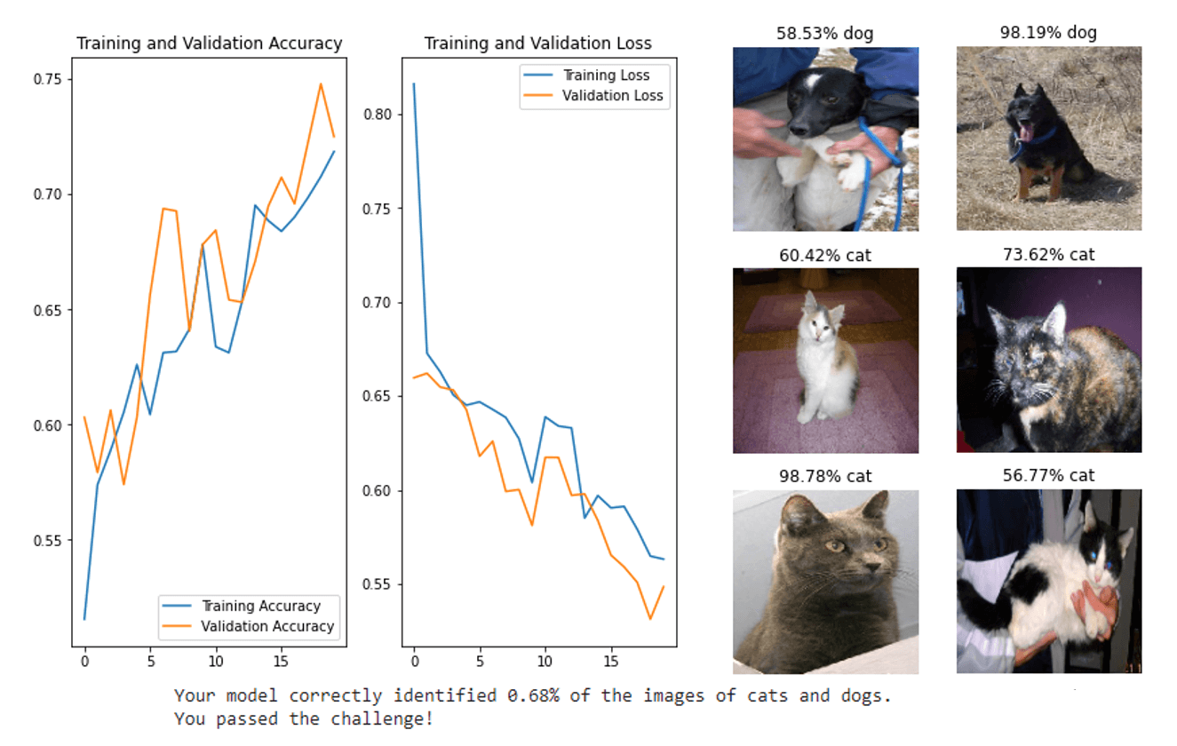 CNN Cat vs Dog Image Classifier project preiew