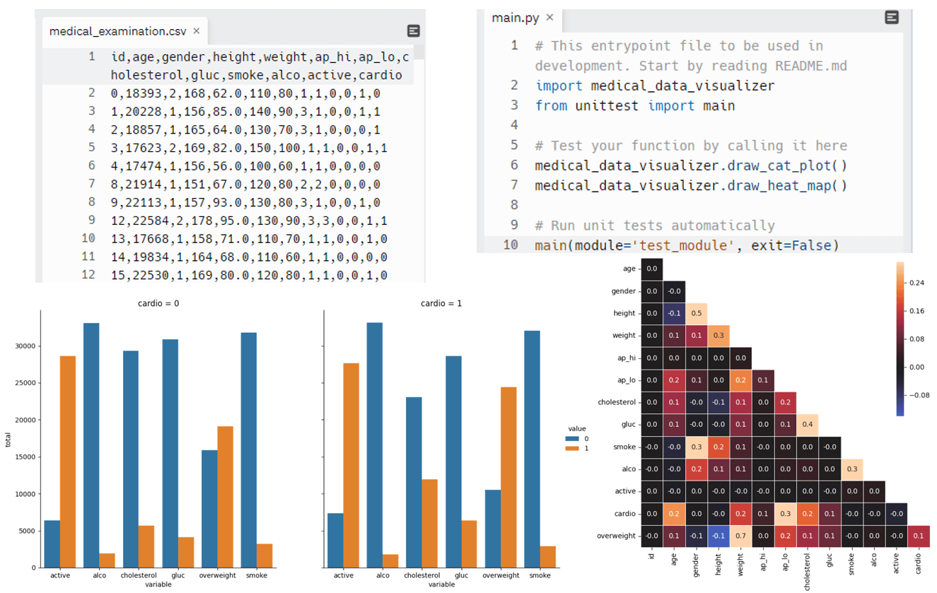 Medical Data Visualizer project preview