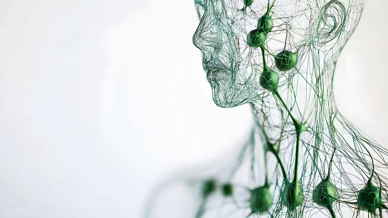 Neuroimmunological pathways in metabolic disease