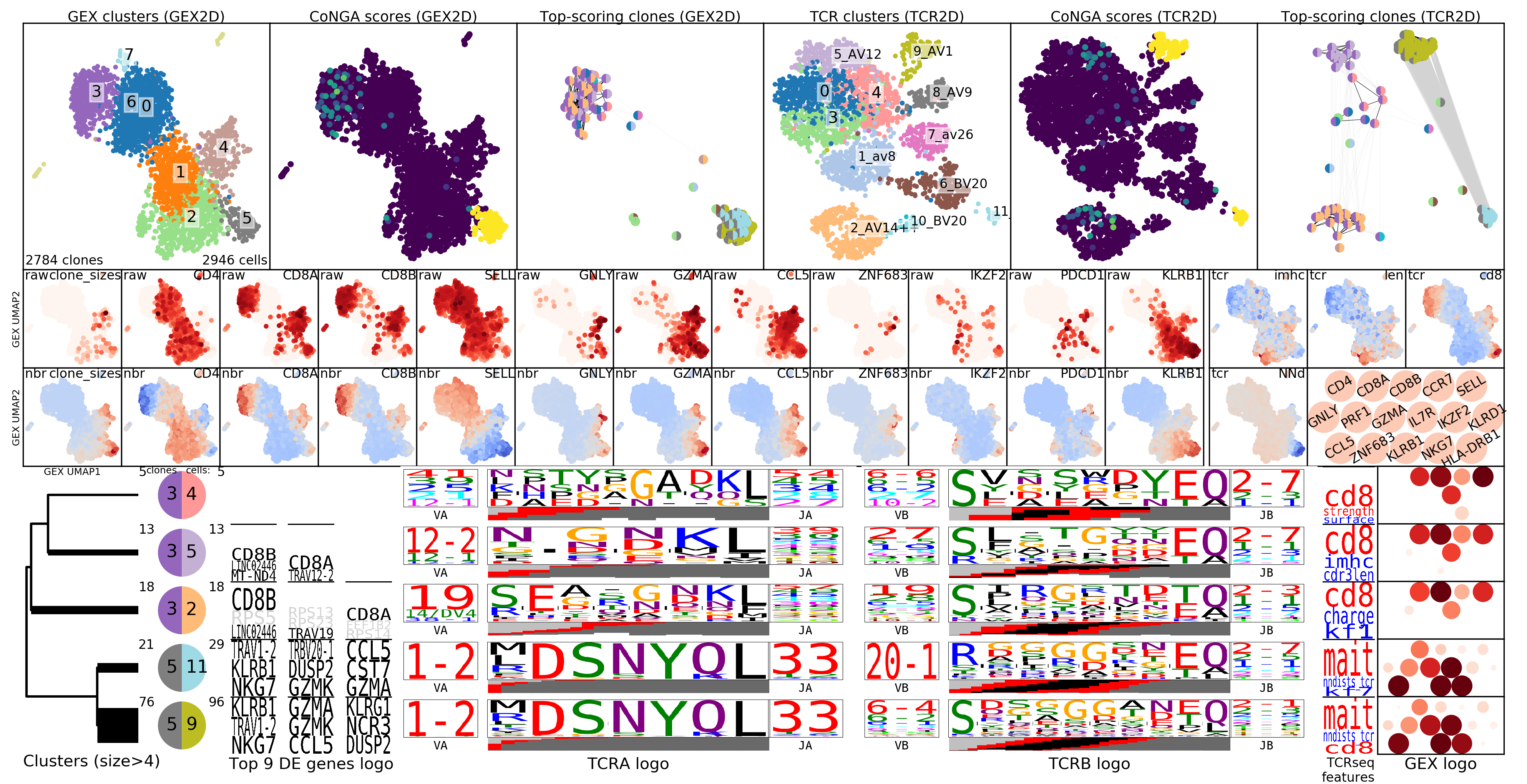 clusters