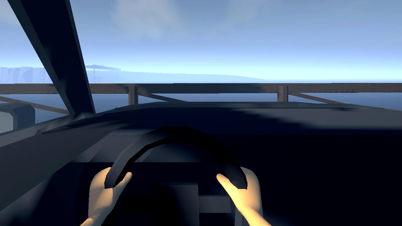 First person view