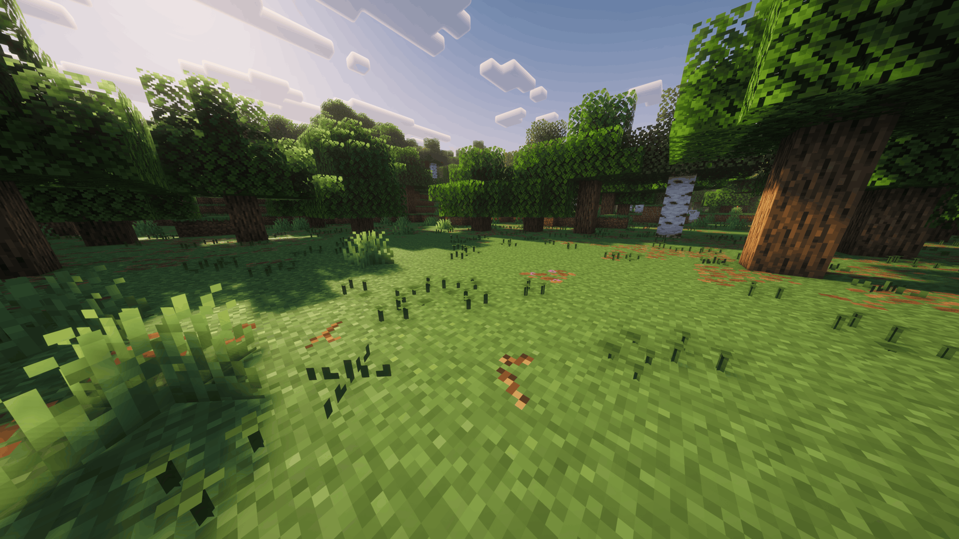 Better Grass showcase