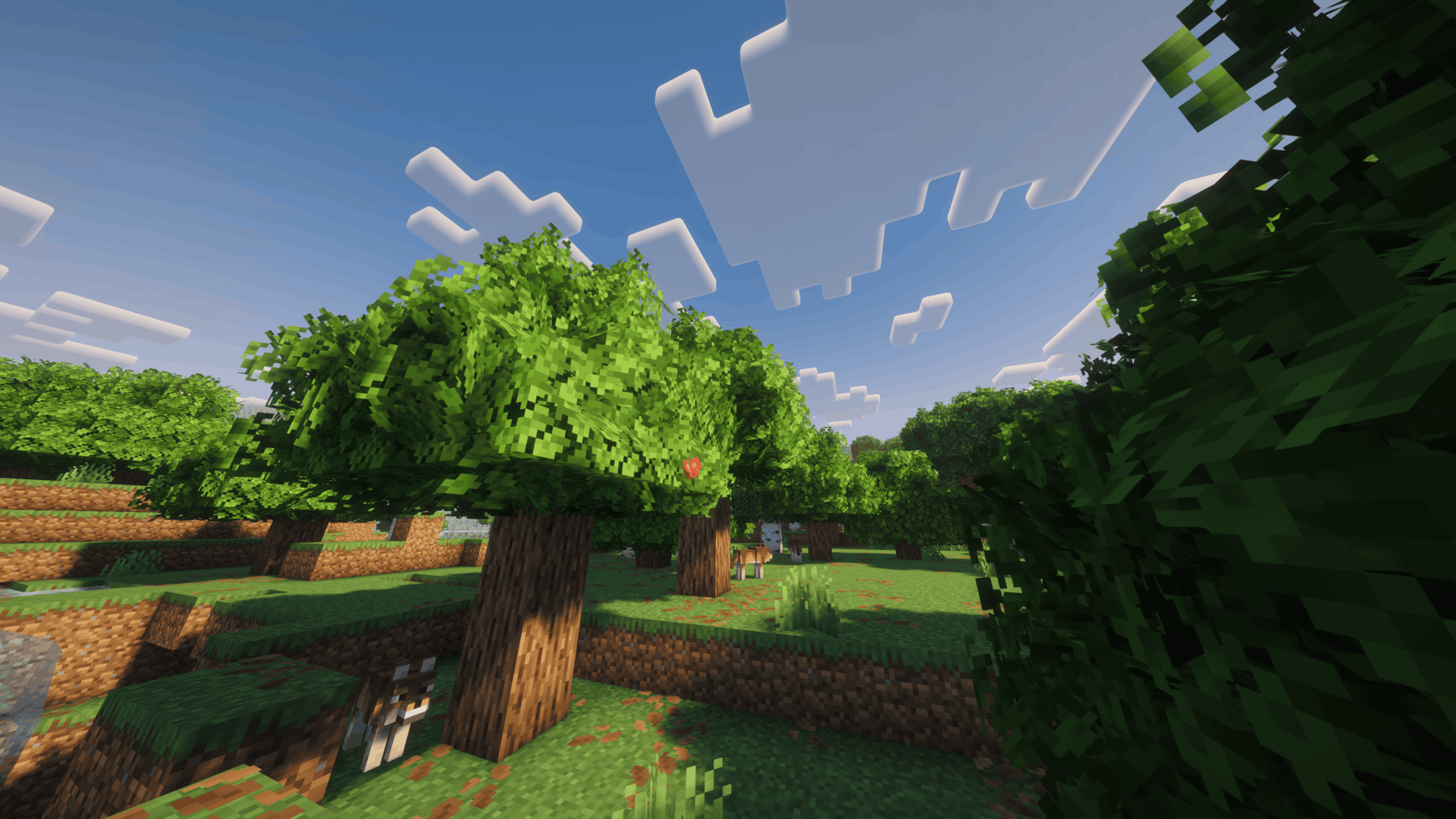Bushy Leaves Enhanced showcase
