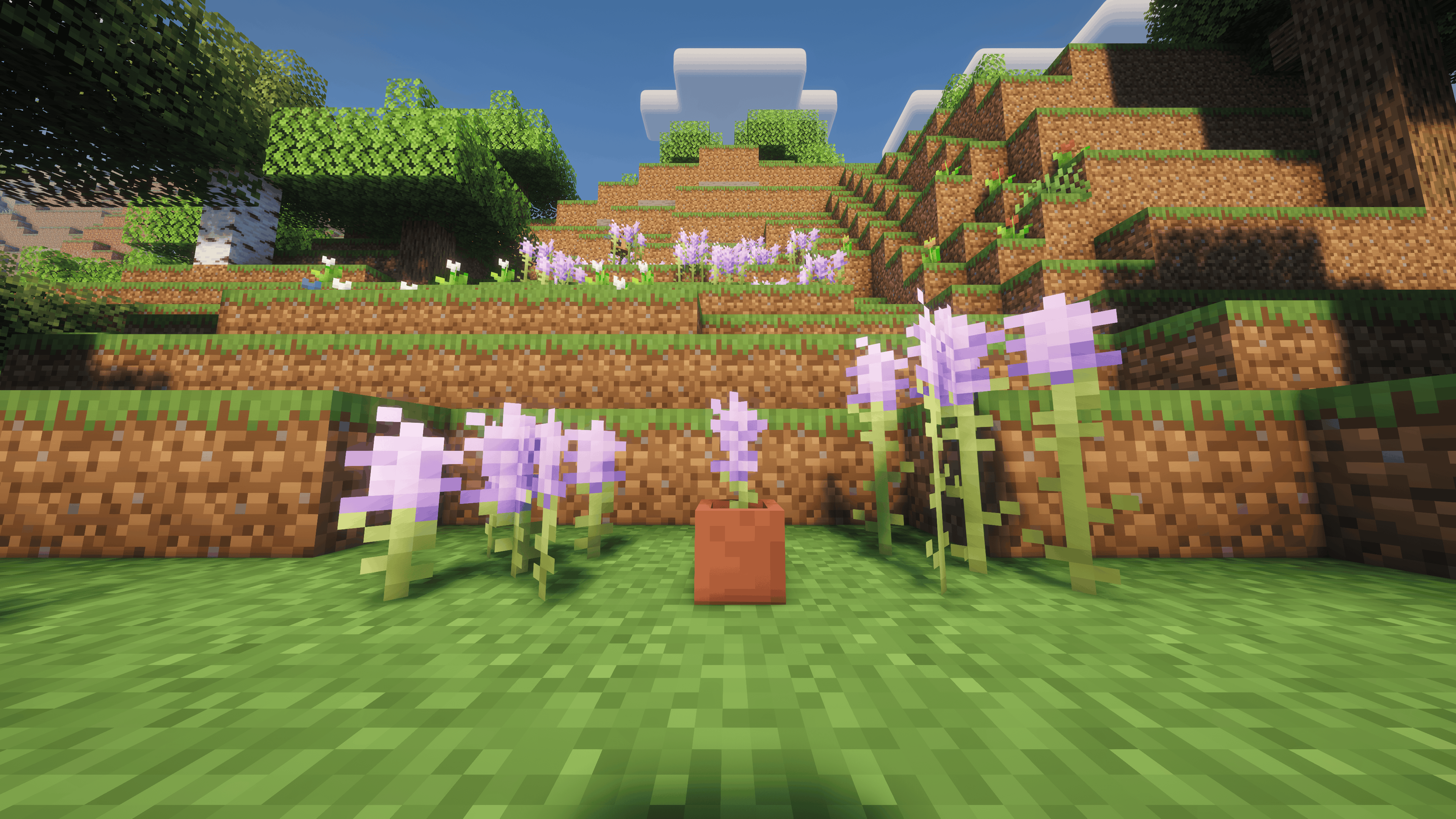 Vanilla Lavender showcase