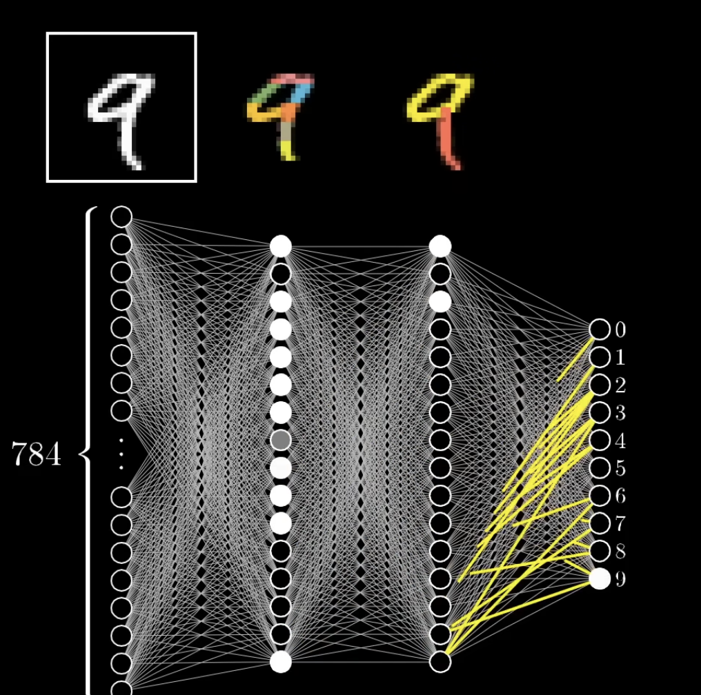 Neural Network Architecture