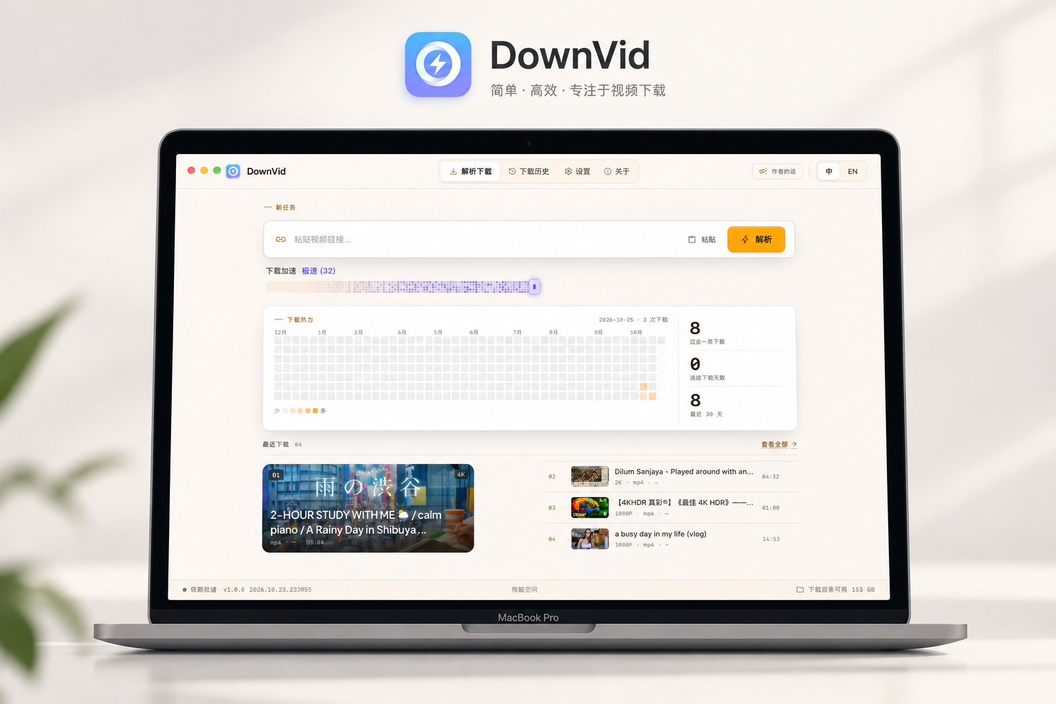 DownVid 桌面应用界面预览