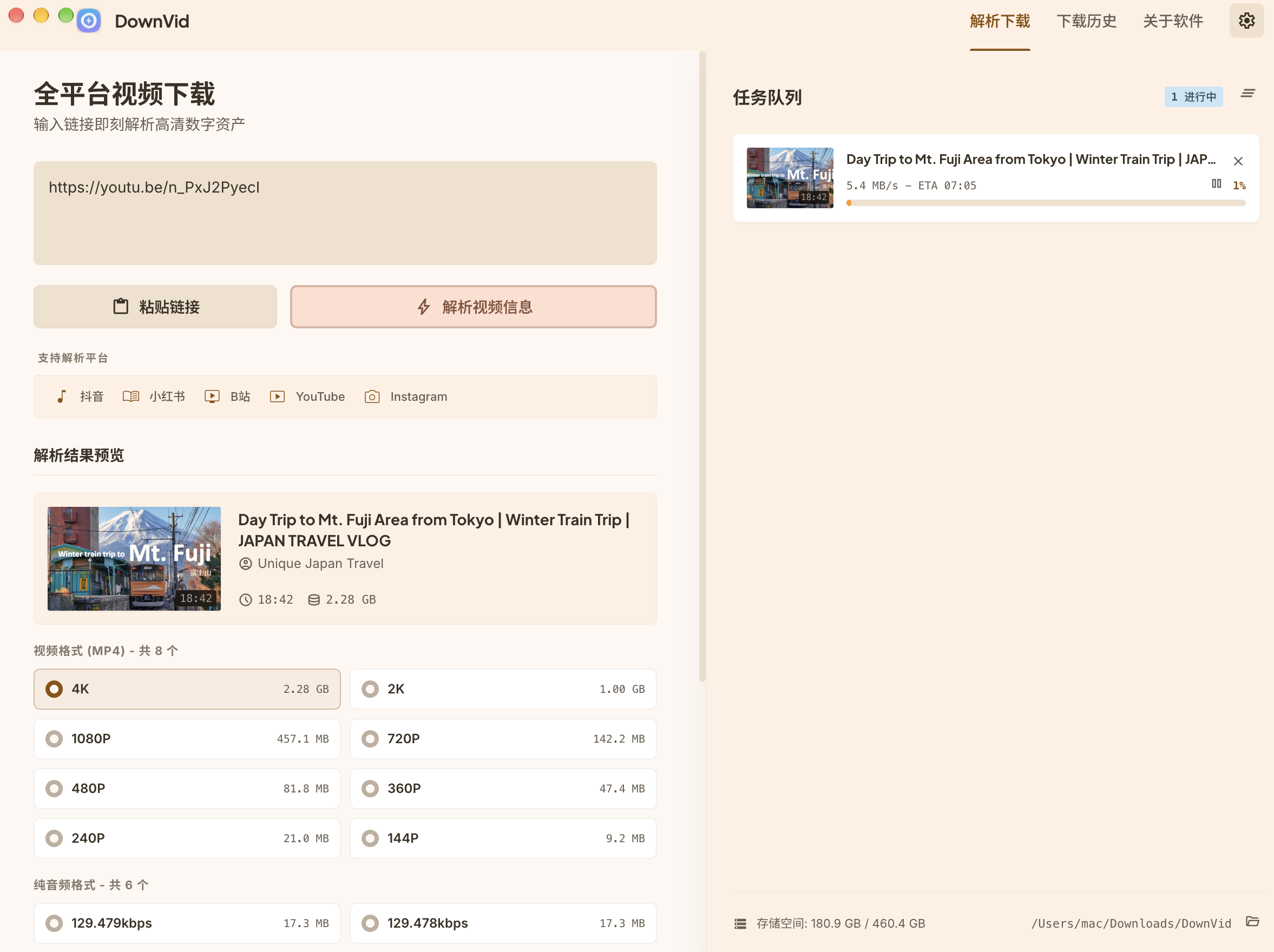 DownVid desktop app preview