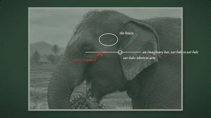 Shooting an Elephant: where to aim, then the view through the rifle sight, click to fire