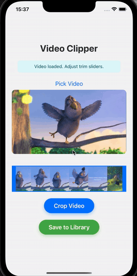 Preview the clip and save to library