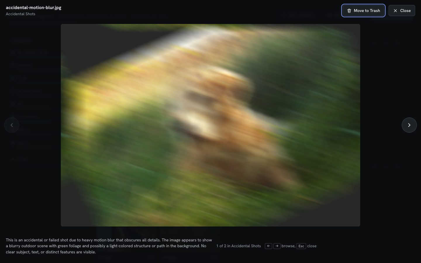Full-size preview of an accidental shot with the model's description
