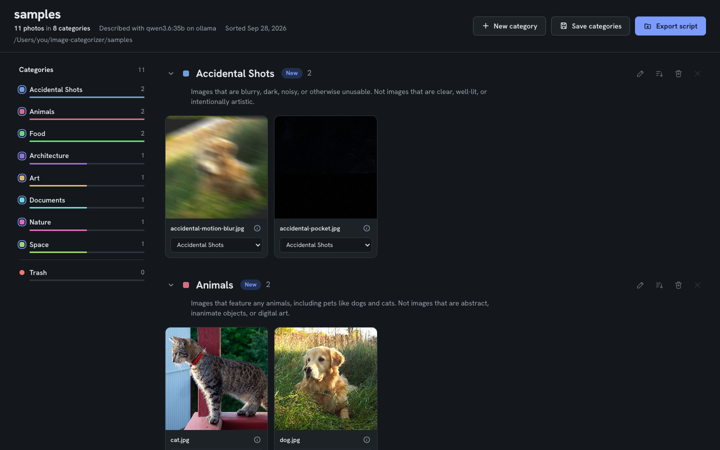 Report: categories with counts on the left, photos grouped by category with each category's rule