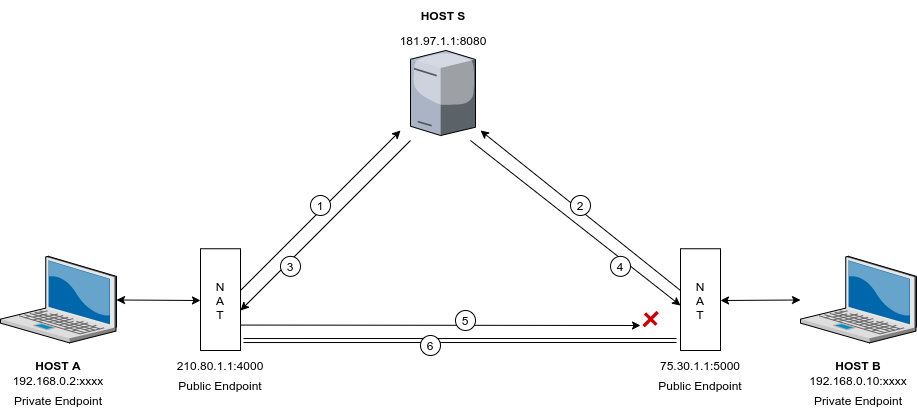 UDP Hole-Punch Image