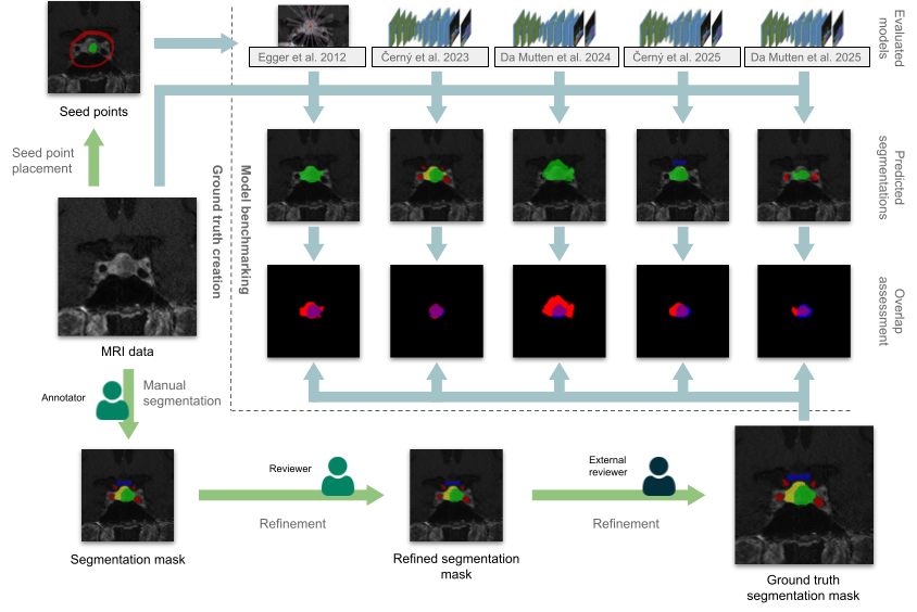 A schematic overview of the process of dataset creation and model benchmarking