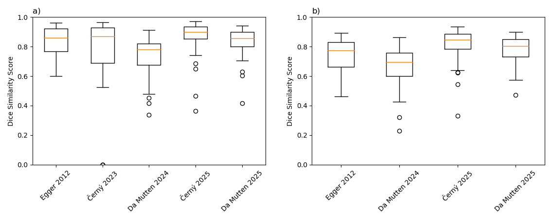 4 A visual comparison of Dice similarity coefficient of assessed segmentation models for tumor label