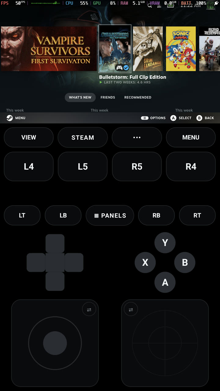 Controls below the game in a portrait Steam session