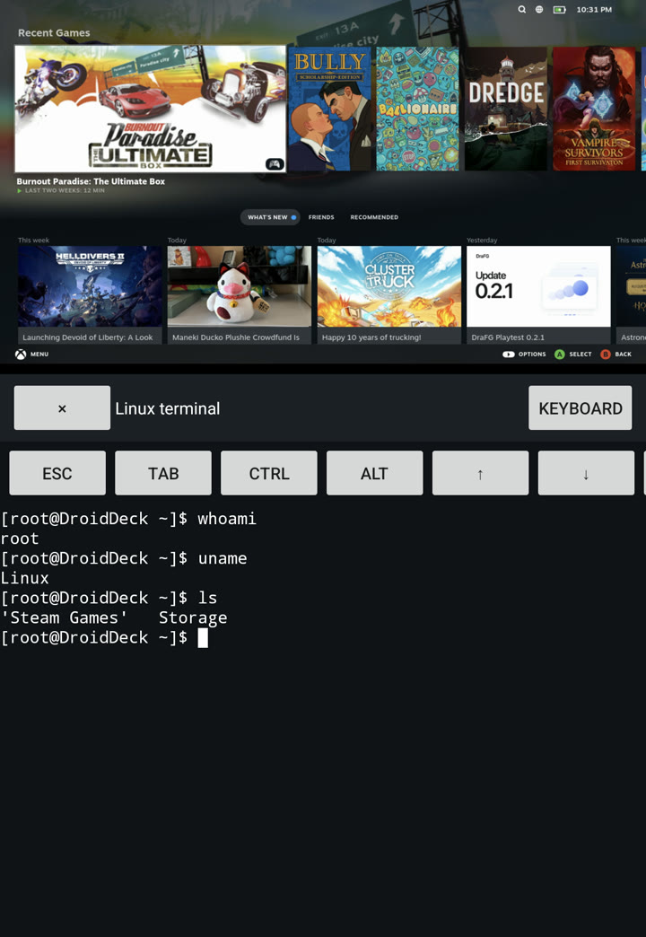Second screen as a Linux terminal under Big Picture