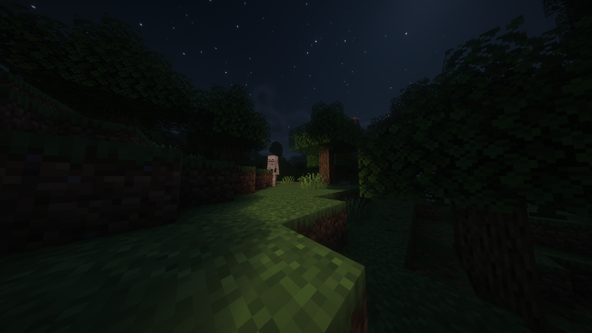 Screenshot with Sodium, Iris Shaders and Complementary Shaders installed