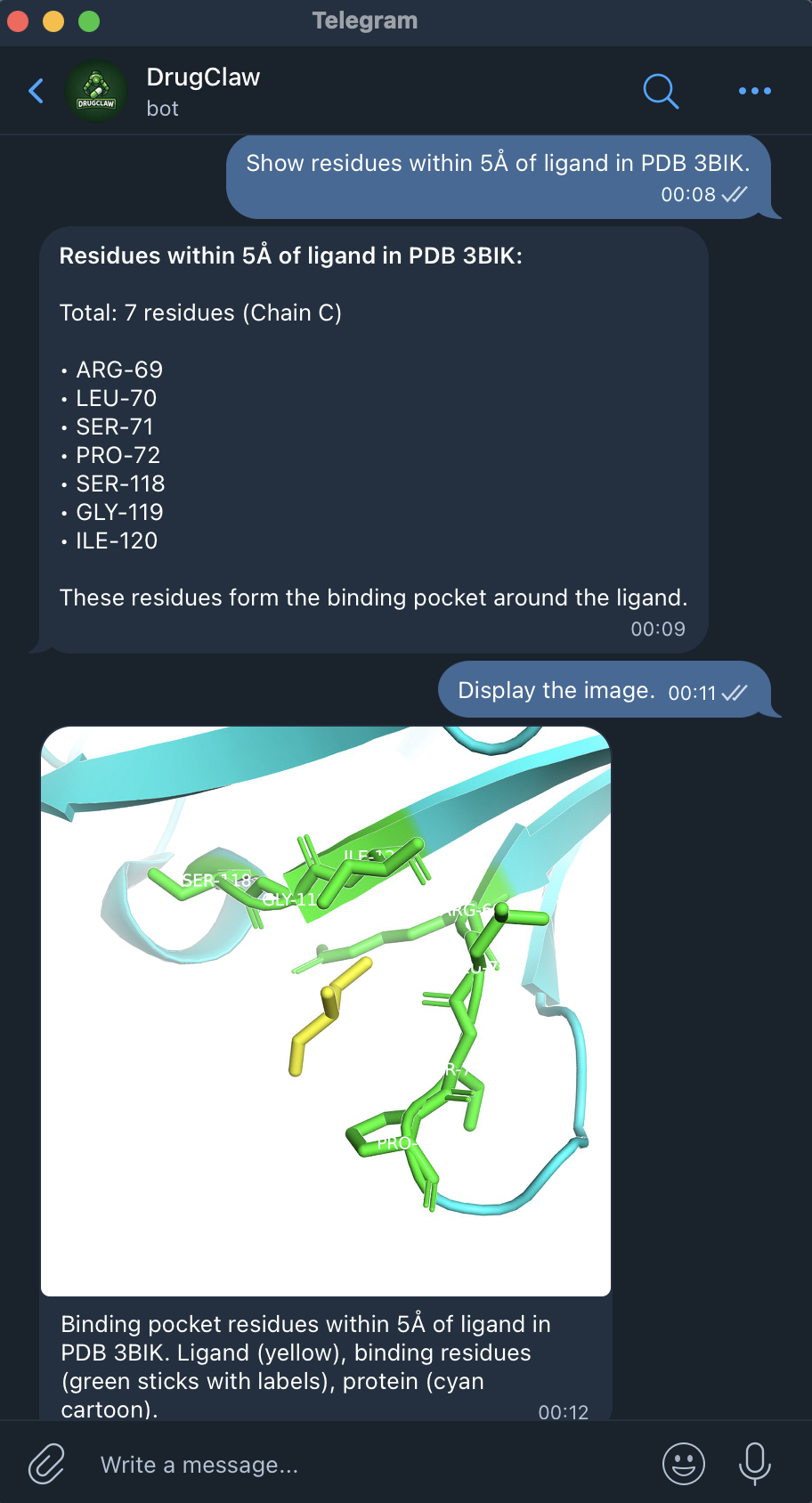 Hydrogen bond analysis demo screenshot 2