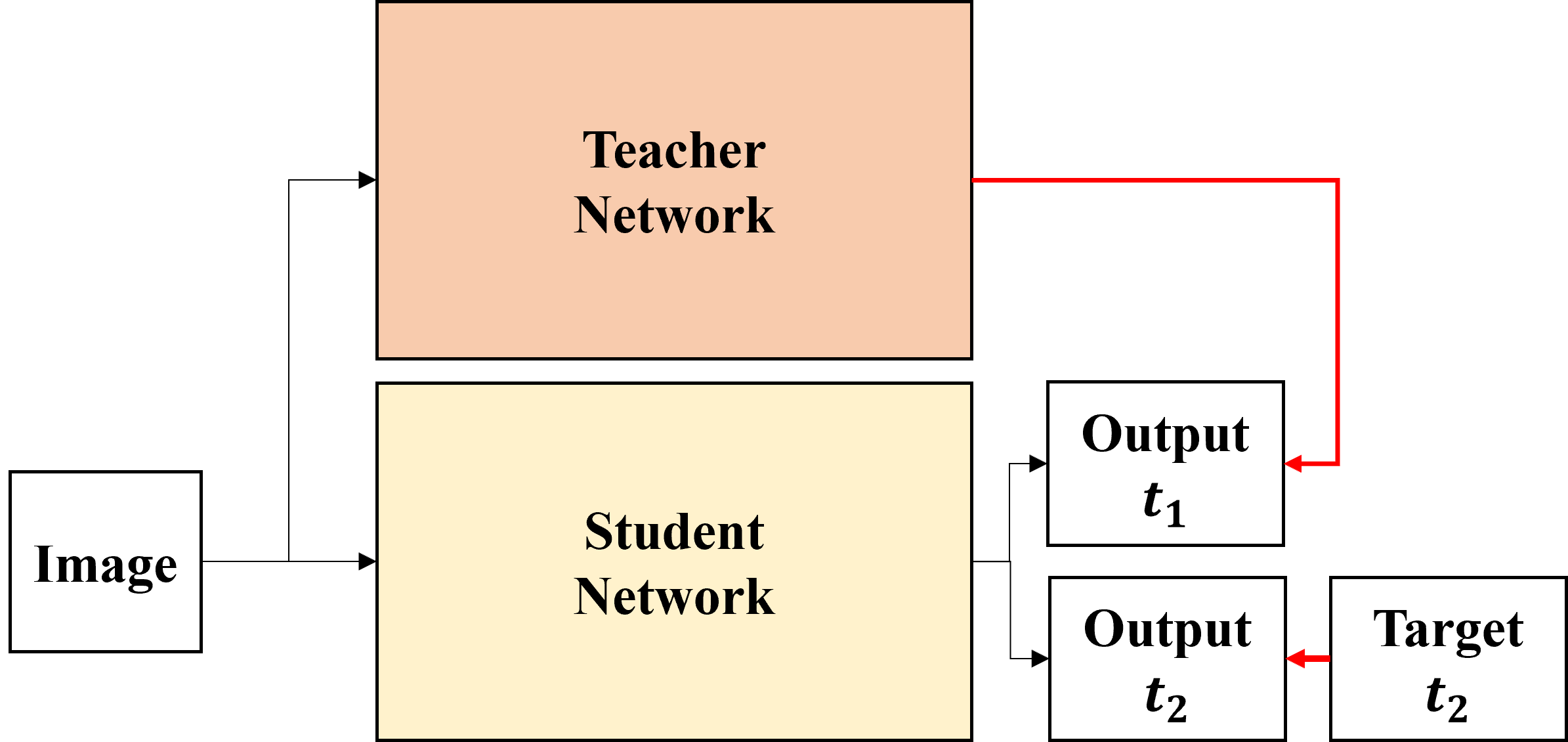 distillation_model