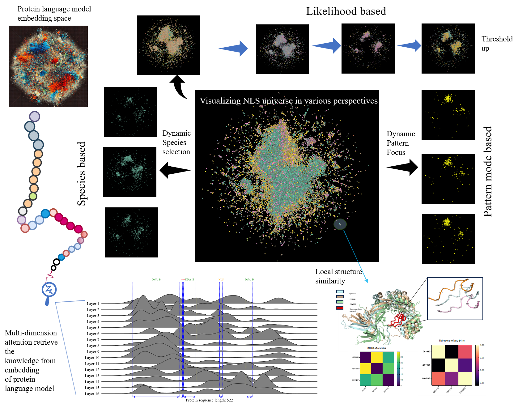 Potential NLS universe