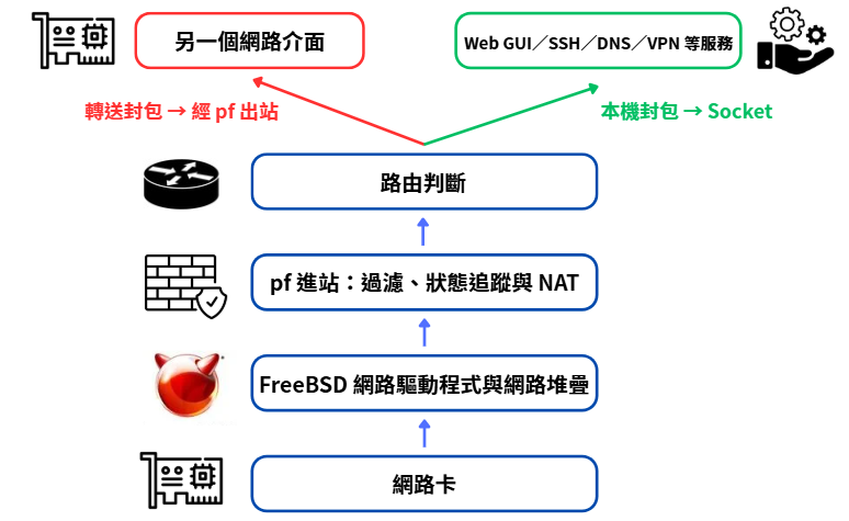 OPNsense 封包資料平面