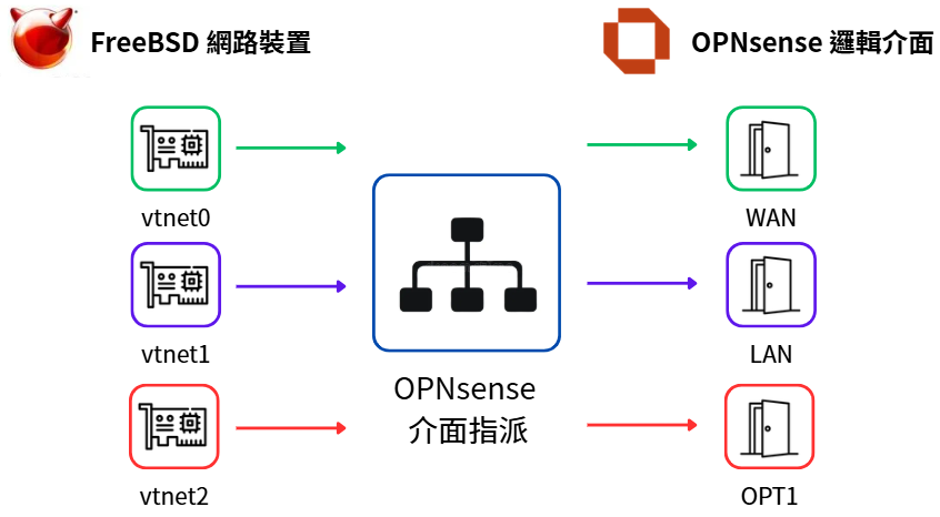 FreeBSD 網路裝置指派成 OPNsense 邏輯介面