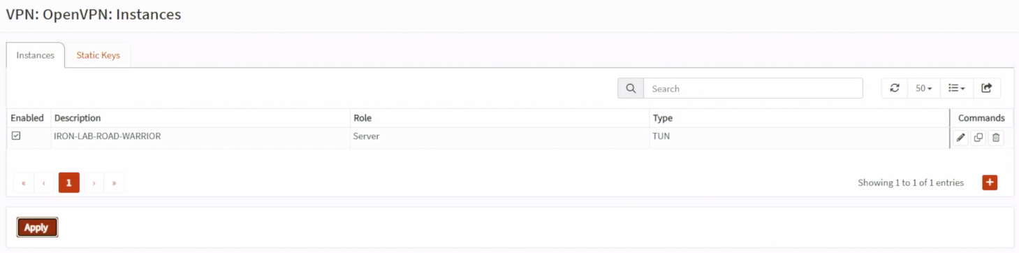 IRON-LAB-ROAD-WARRIOR OpenVPN Server Instance 使用 TUN