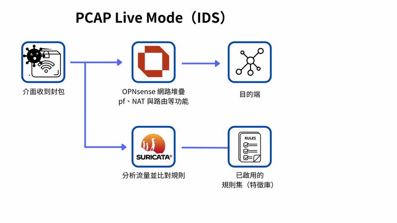 PCAP Live Mode 將封包副本交給 Suricata,原封包由 OPNsense 網路堆疊處理