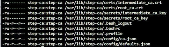 ca01 的根憑證、中繼 CA 憑證、私鑰與 step-ca 設定檔擁有者及權限