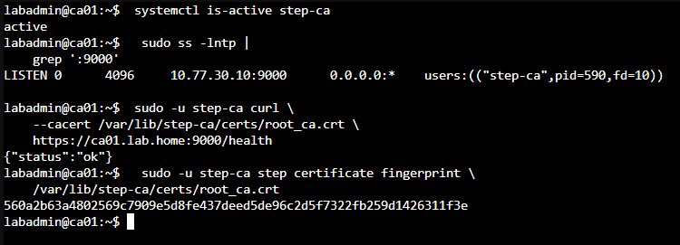 step-ca 服務正常運作、監聽 TCP 9000,健康檢查與根憑證指紋皆可取得
