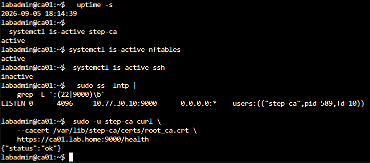 ca01 重新開機後 step-ca 與 nftables 維持 active,SSH 維持 inactive