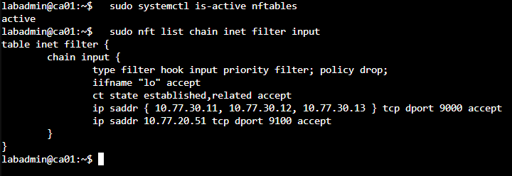 nftables Input Policy 為 Drop,只有指定 PostgreSQL 節點可以連入 TCP 9000