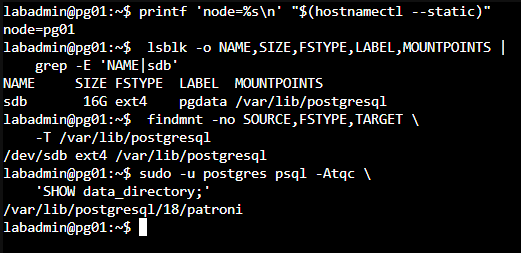 pg01 的資料磁碟掛載在 PostgreSQL 資料目錄上層