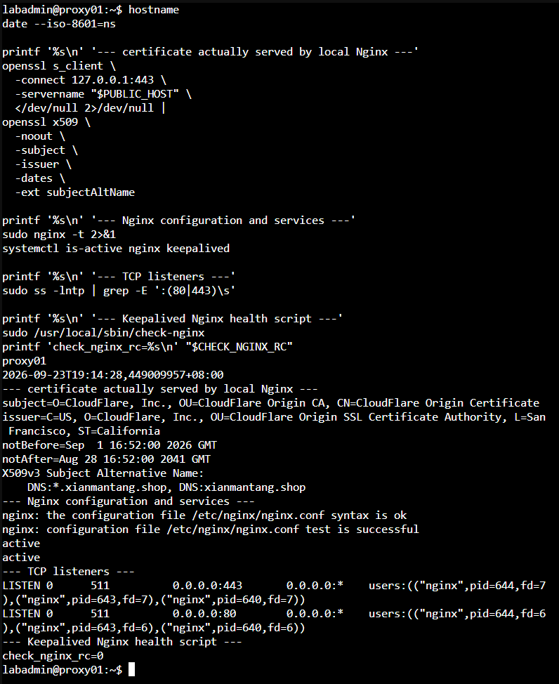 proxy01 提供涵蓋公開主機名稱的 Origin Certificate 並通過 Nginx 檢查