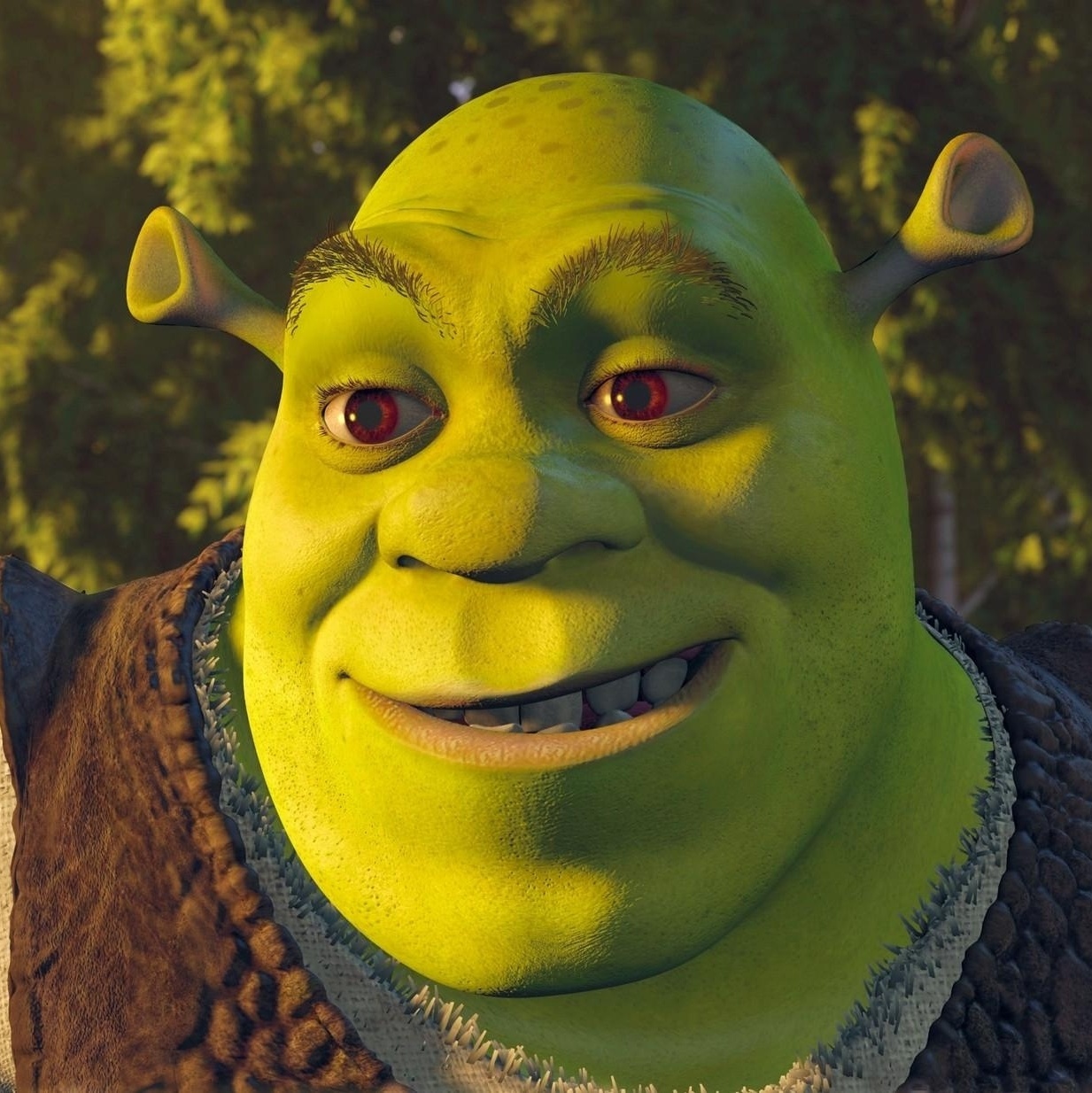 Cara do Shrek