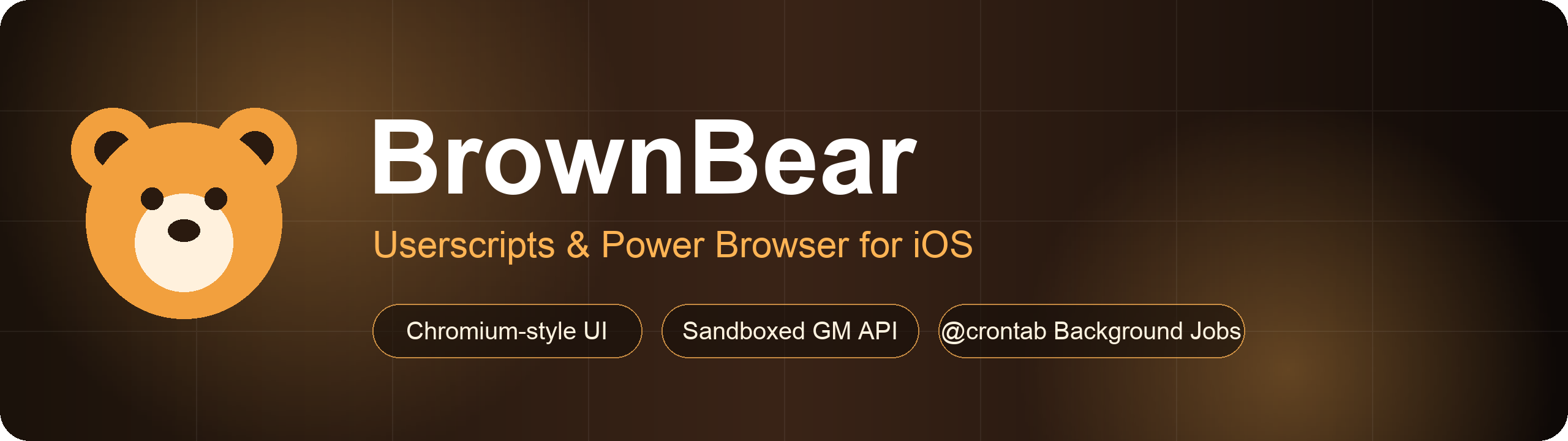 BrownBear — Userscripts & Power Browser for iOS