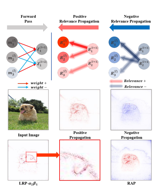 Relative_Attributing_Propagation