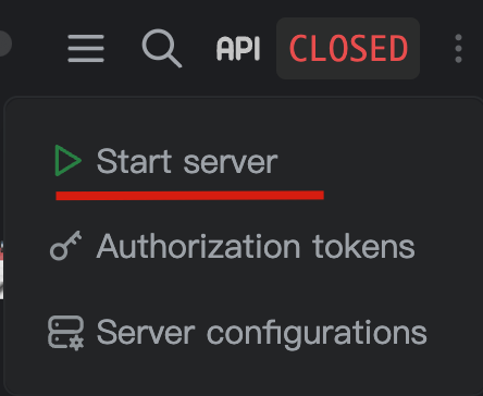 Starting Logseq API Server