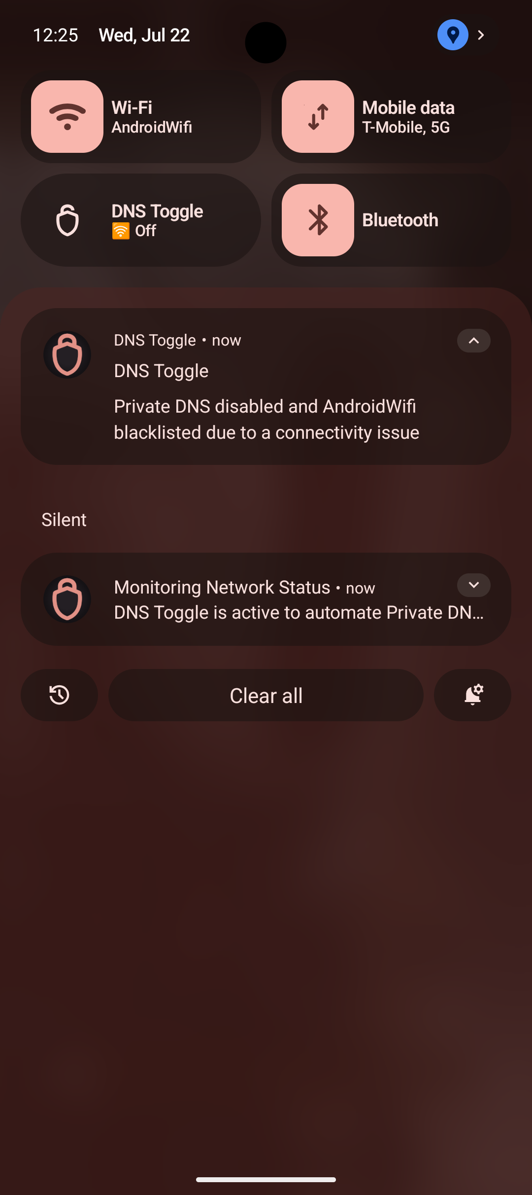 Screenshot of the Private DNS hostname quick-switch popup