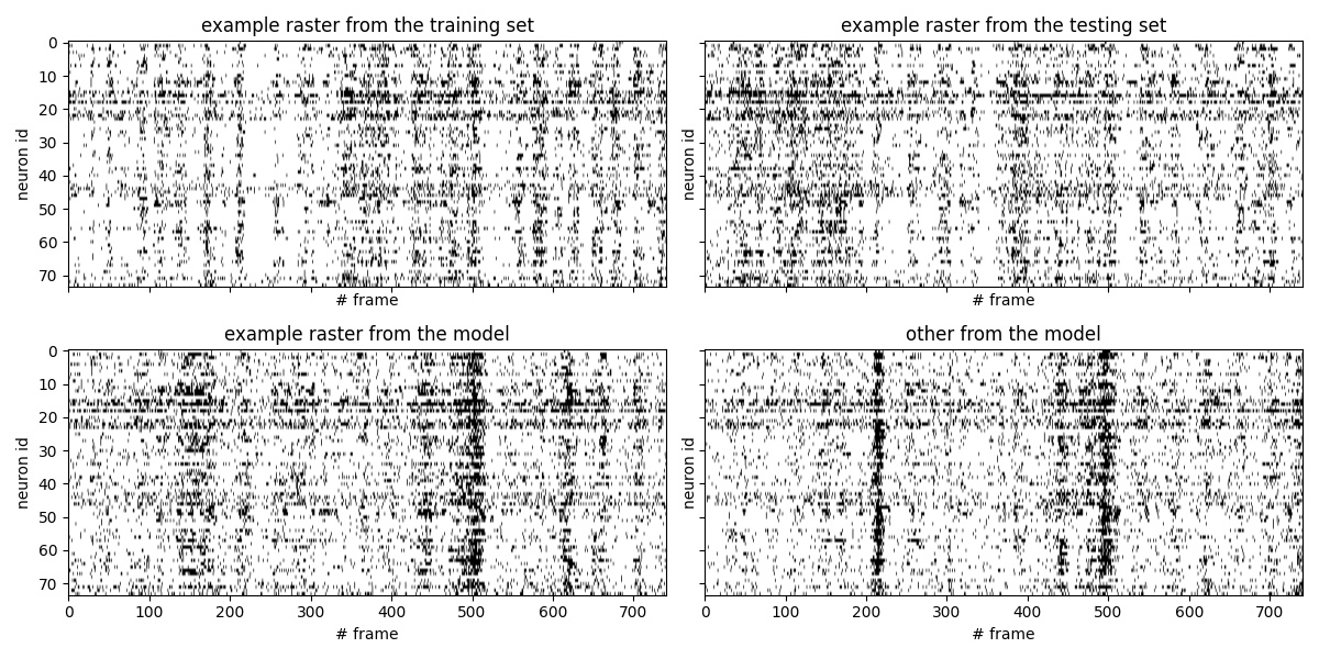 raster plots