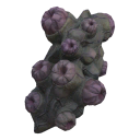 Сетчатка
