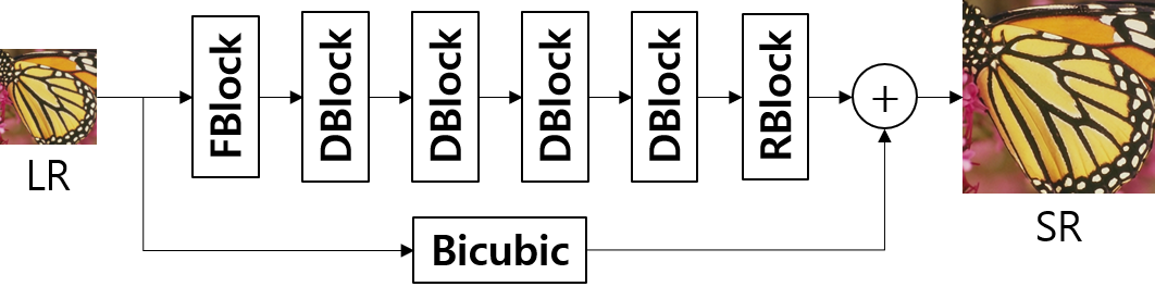 IDN Network Structure