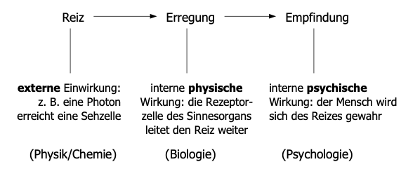 Stufen der Wahrnehmung: Logisch